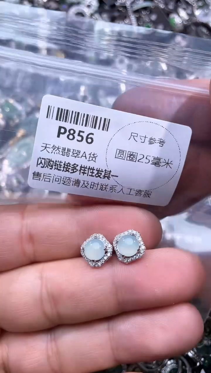 【闪购商品】翡翠颈饰未镶嵌P856耳钉
