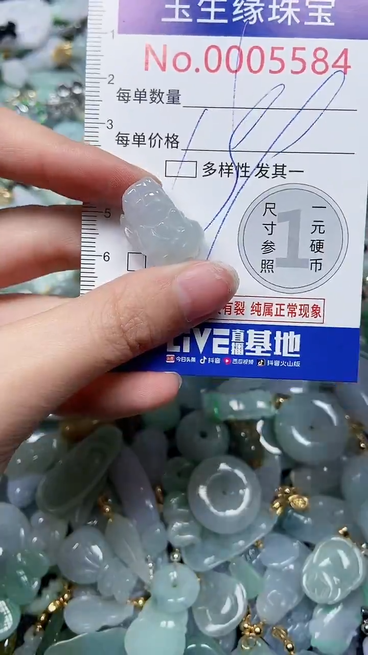 【闪购商品】翡翠颈饰未镶嵌闪购5584