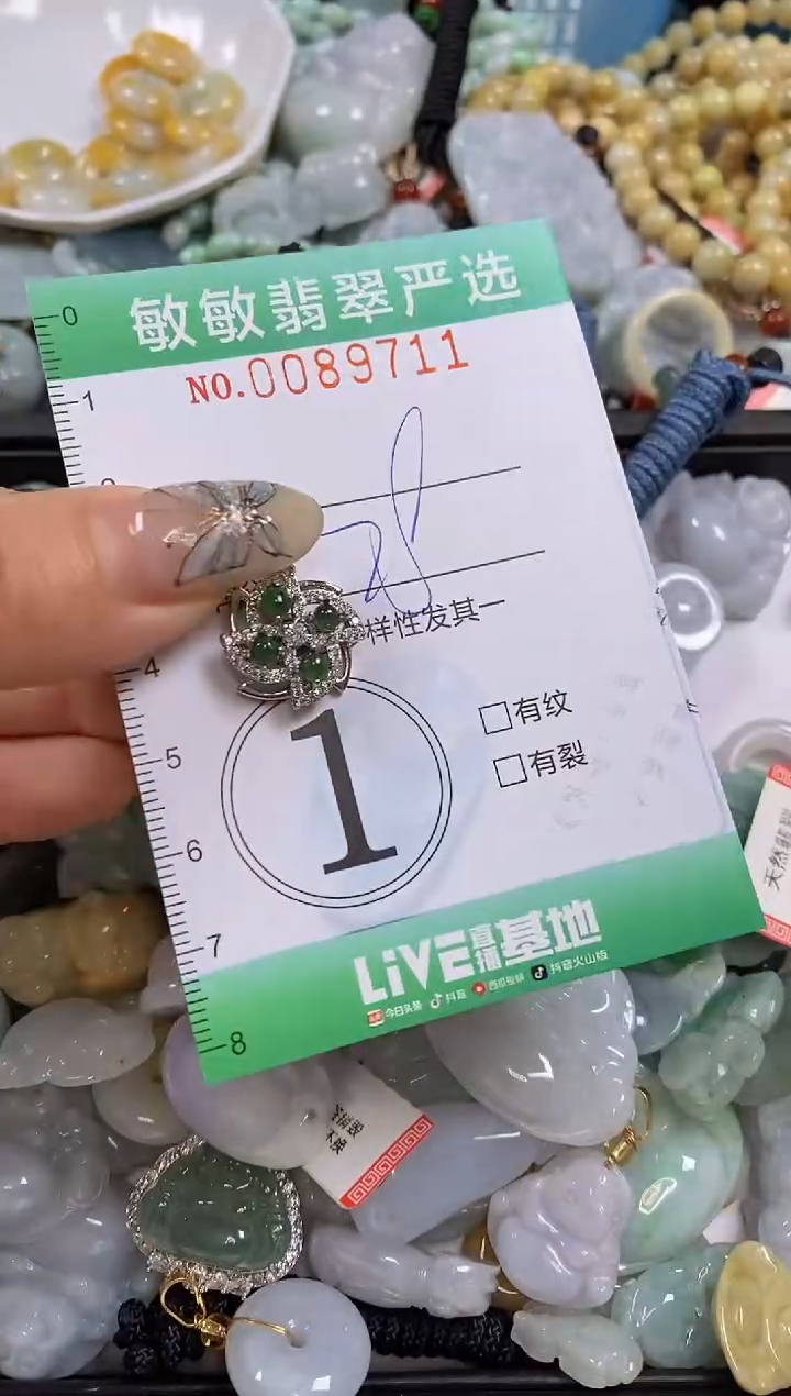 【闪购商品】翡翠颈饰未镶嵌闪购0089711