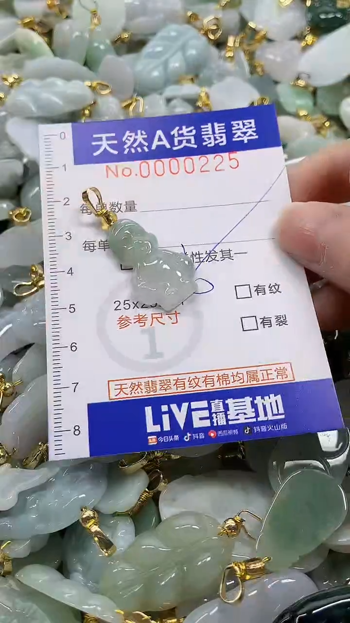 颈饰未镶嵌翡翠天然A货翡翠