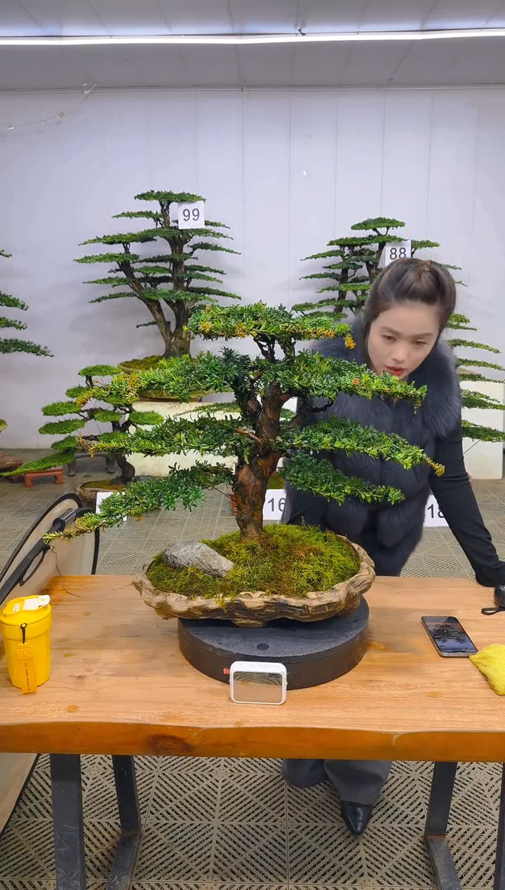 无花朵一物一拍一物一拍