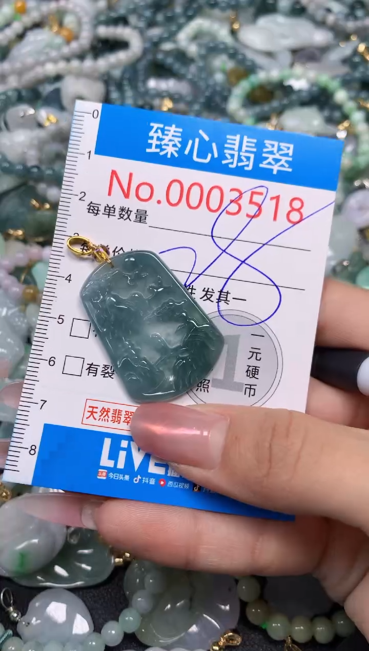 【闪购商品】翡翠颈饰未镶嵌含绳0003518