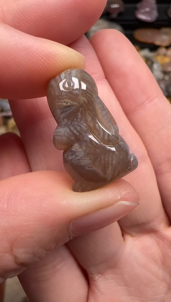 硅化珊瑚（珊瑚玉）未镶嵌颈饰147