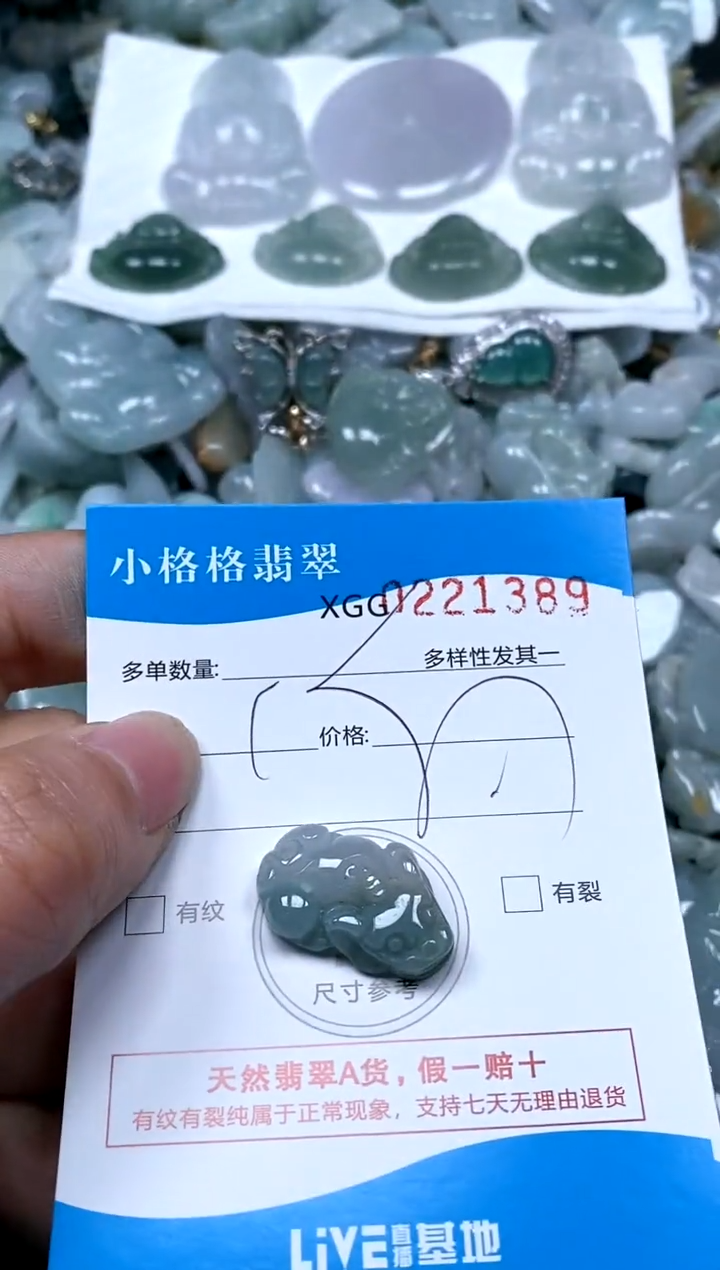 【闪购商品】翡翠颈饰未镶嵌闪购商品0221389