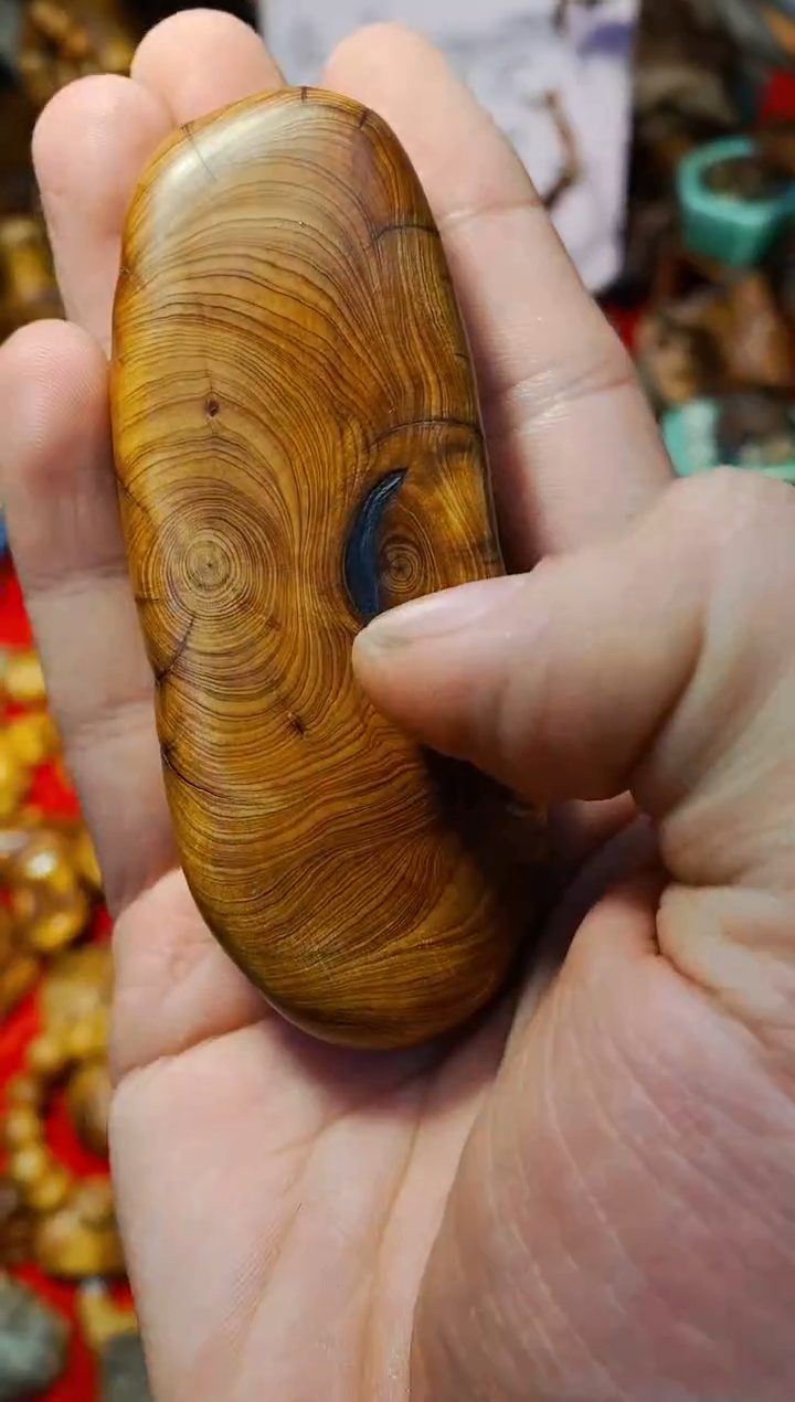 【闪购商品】柏木54崖柏崖柏崖柏崖柏崖柏