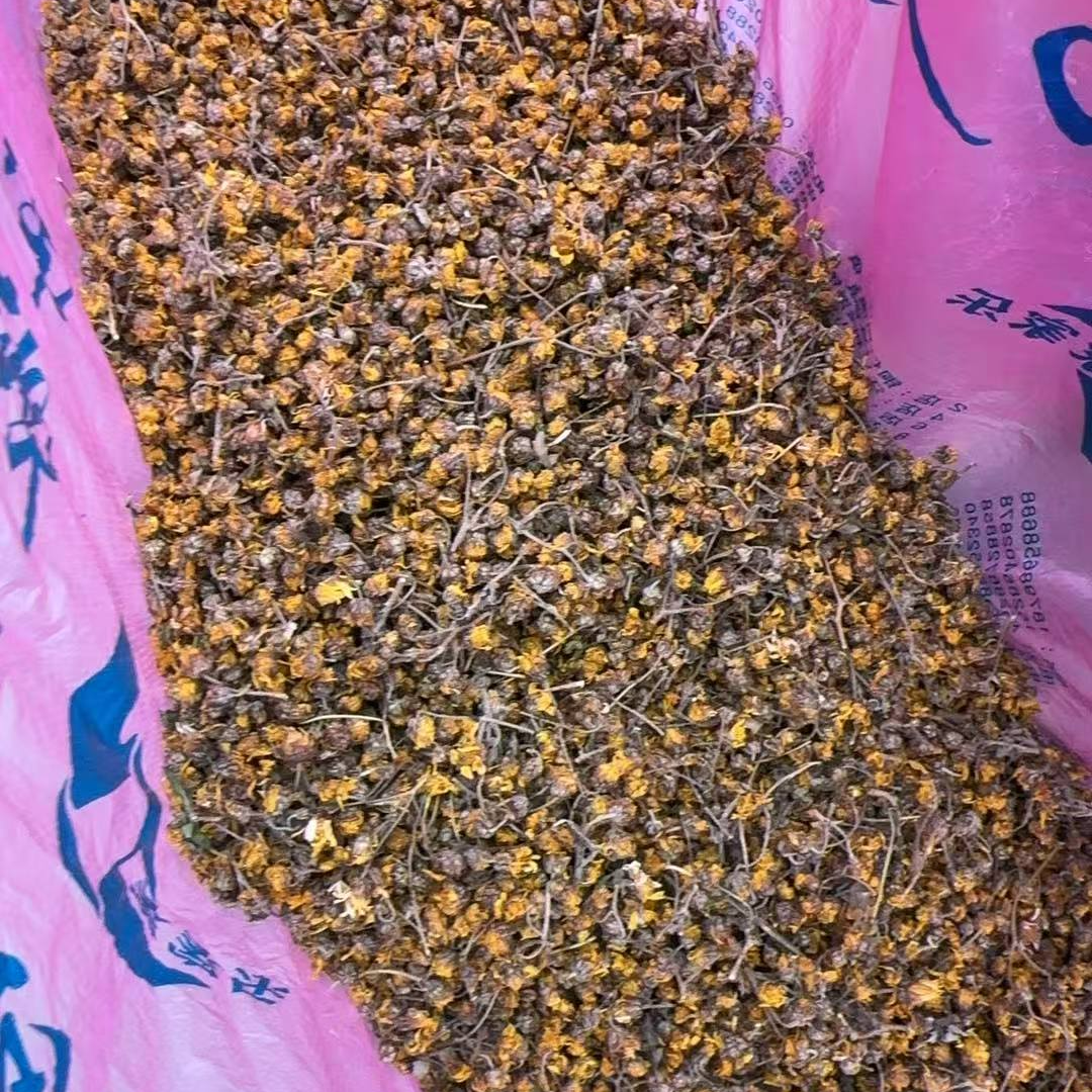 贵州土特产农村干货野菊花