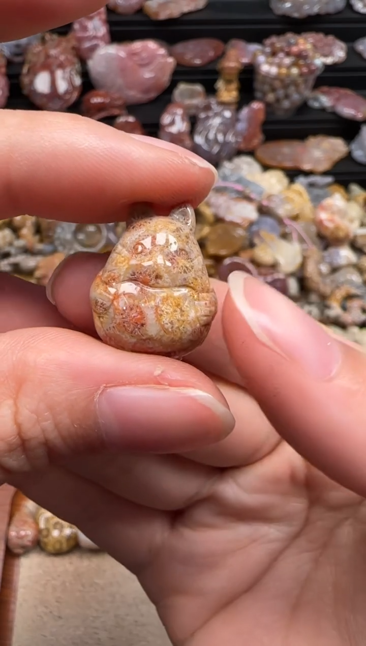 【闪购商品】硅化珊瑚（珊瑚玉）颈饰未镶嵌433