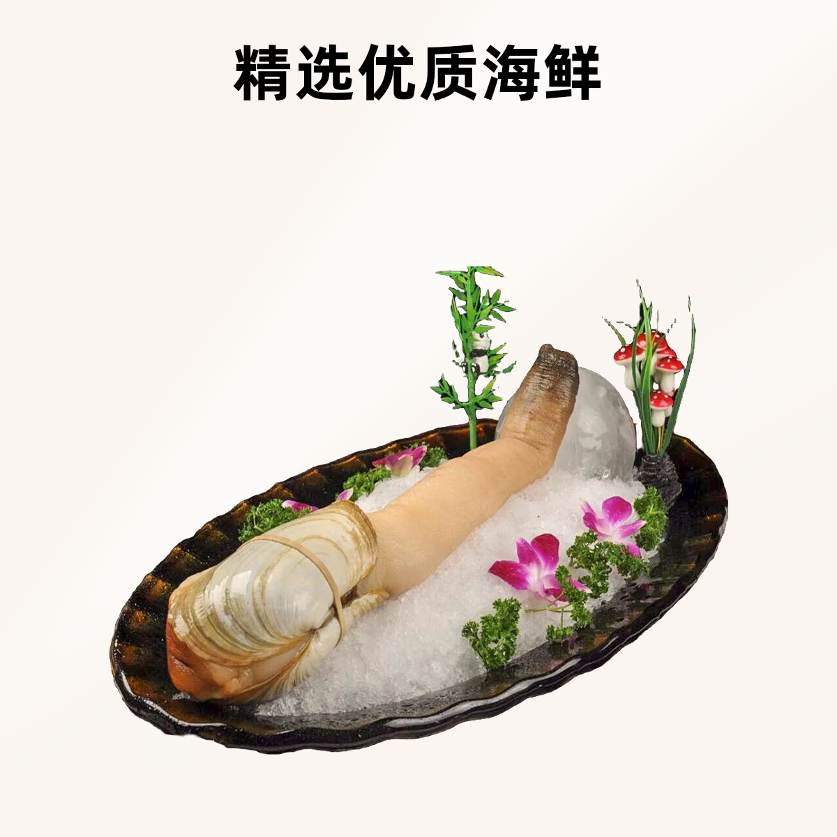 象拔蚌海鲜鲜活刺身两吃