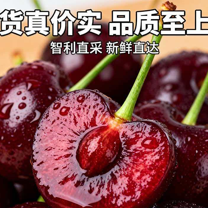 【次日达】智利进口海运车厘子桑提娜新鲜水果樱桃礼盒装当季2JD五斤原箱桑提娜智利