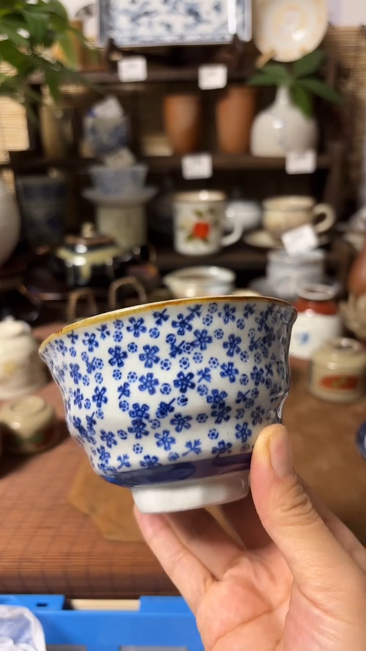 【闪购商品】瓷片喵喵家都是大漂亮