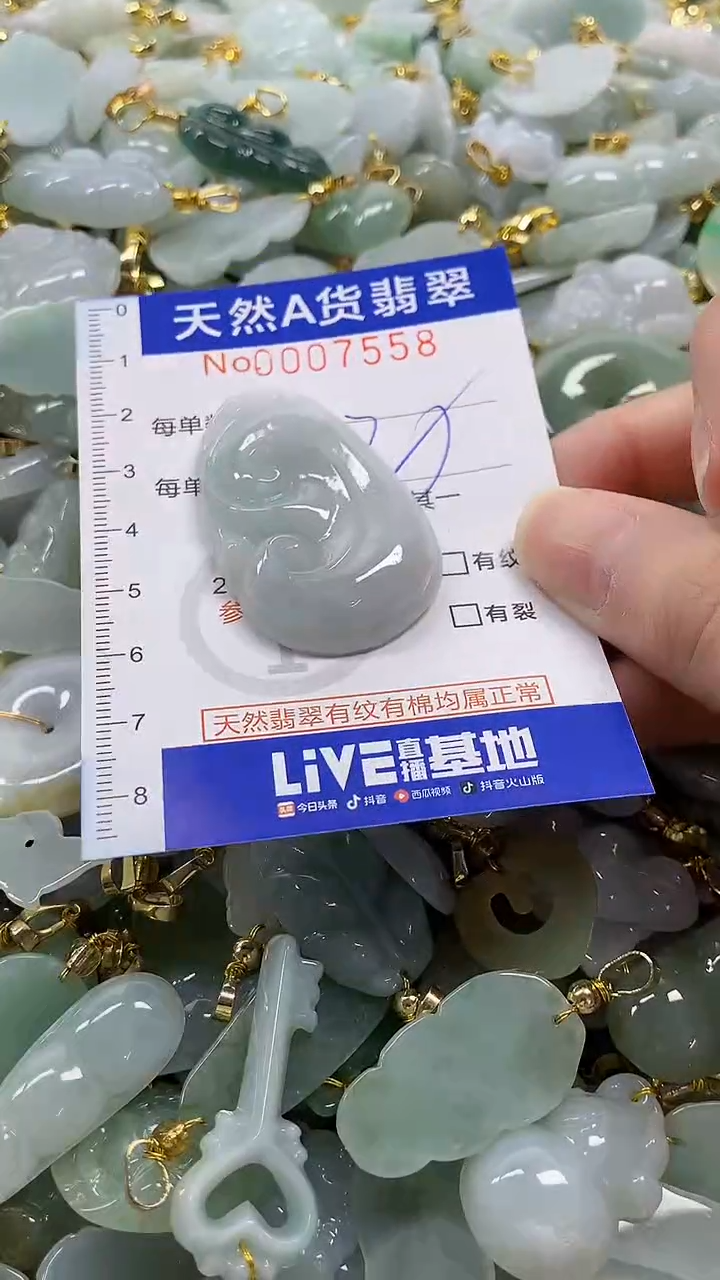 颈饰未镶嵌翡翠纯天然a货翡翠