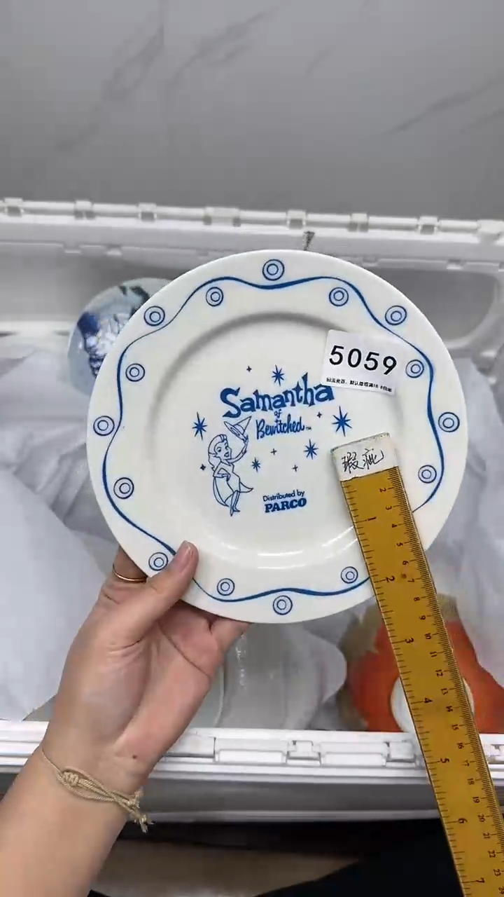 【闪购商品】5059回流瓷器默认微瑕，18.8包邮