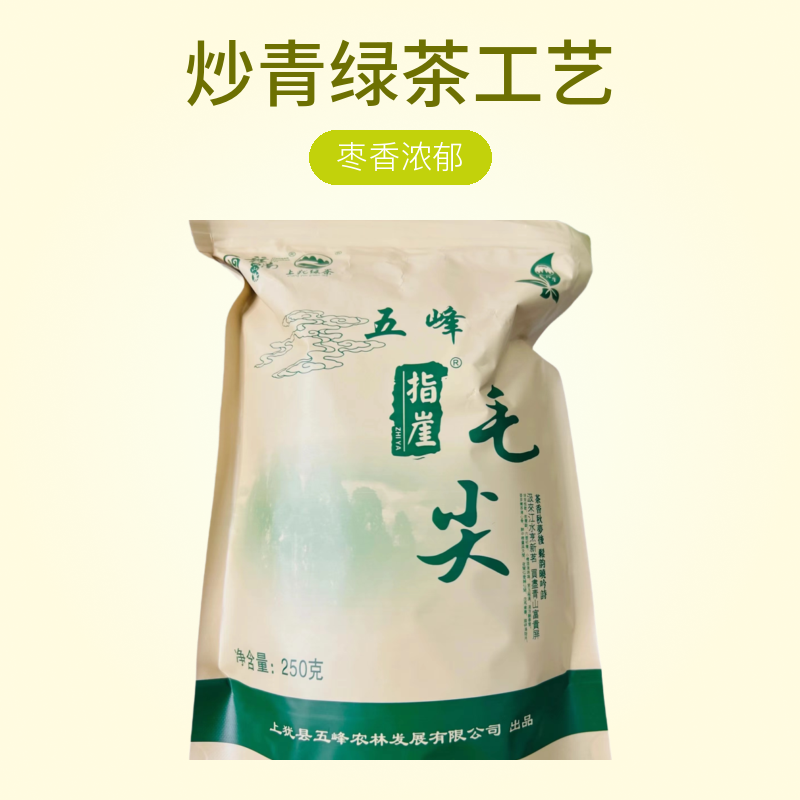 指崖赣南高山绿茶浓香耐泡春季口粮茶
