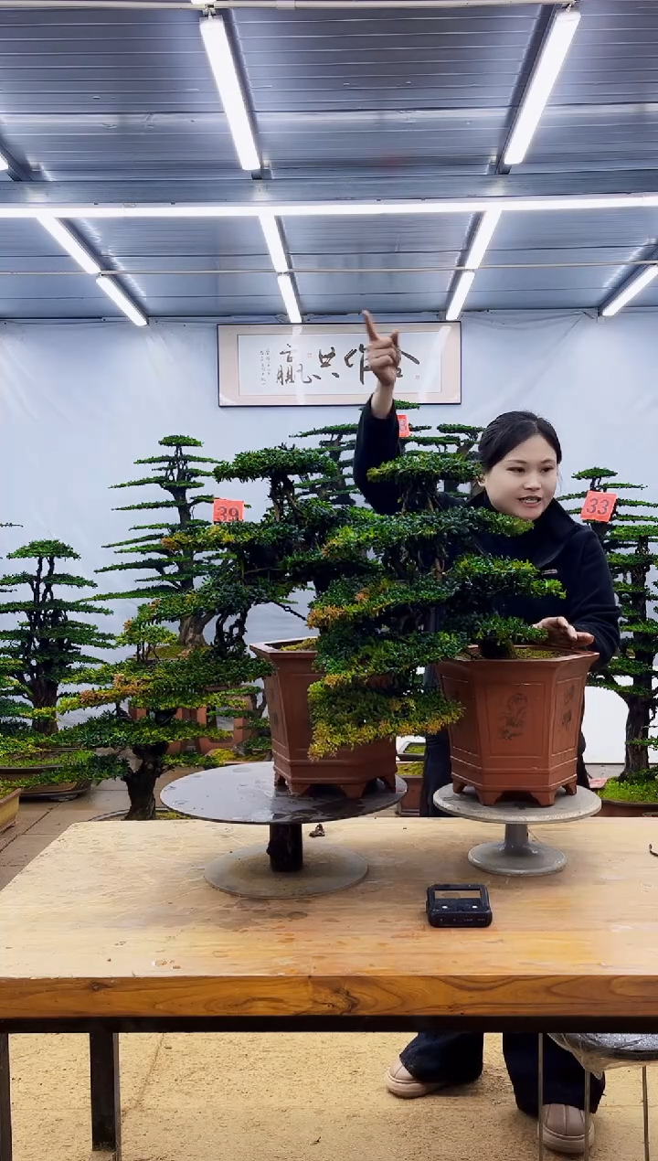 无花朵一物一拍·所见即所得