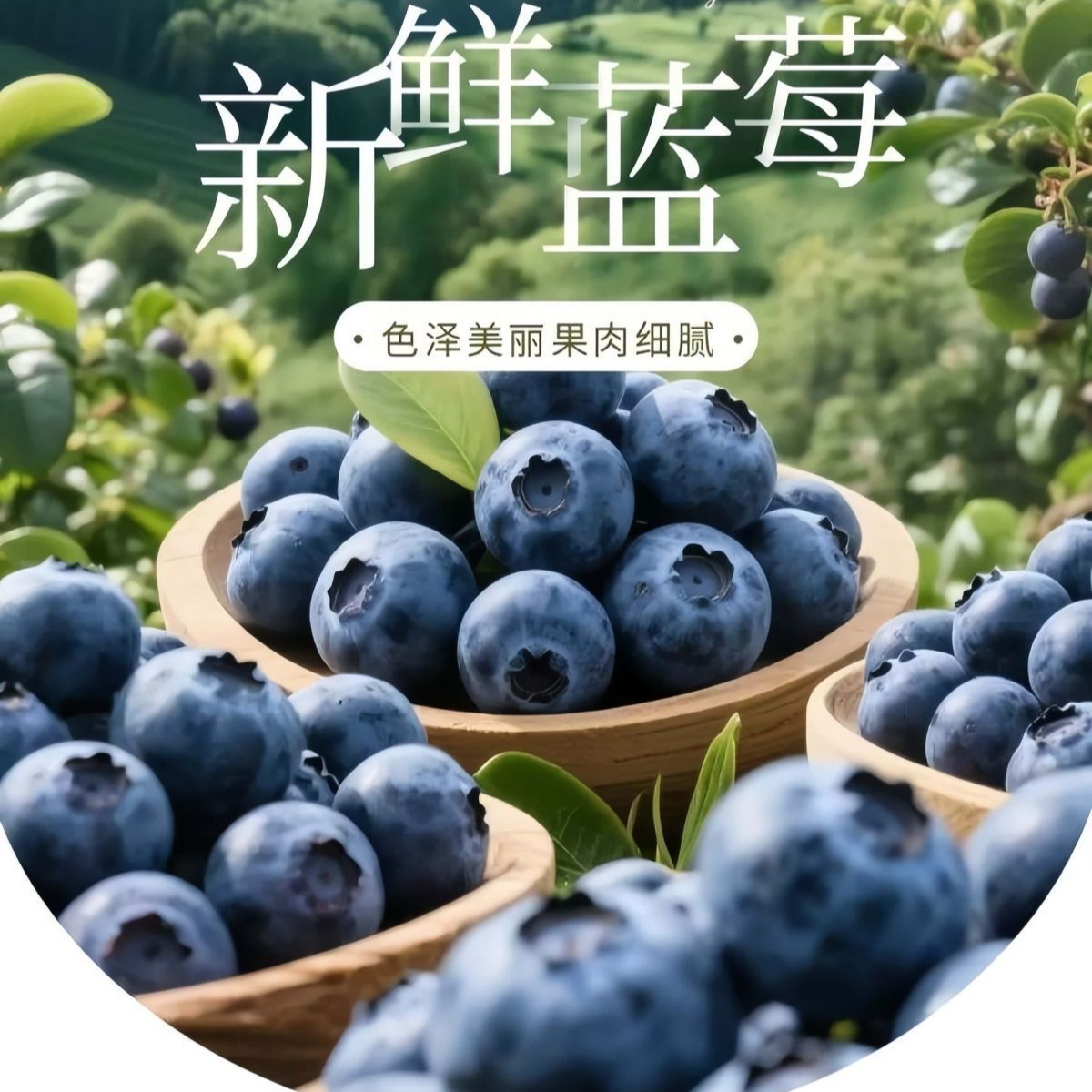 【顺丰空运】大凉山高山花香蓝莓自家果园新鲜采摘孕妇宝妈花青素
