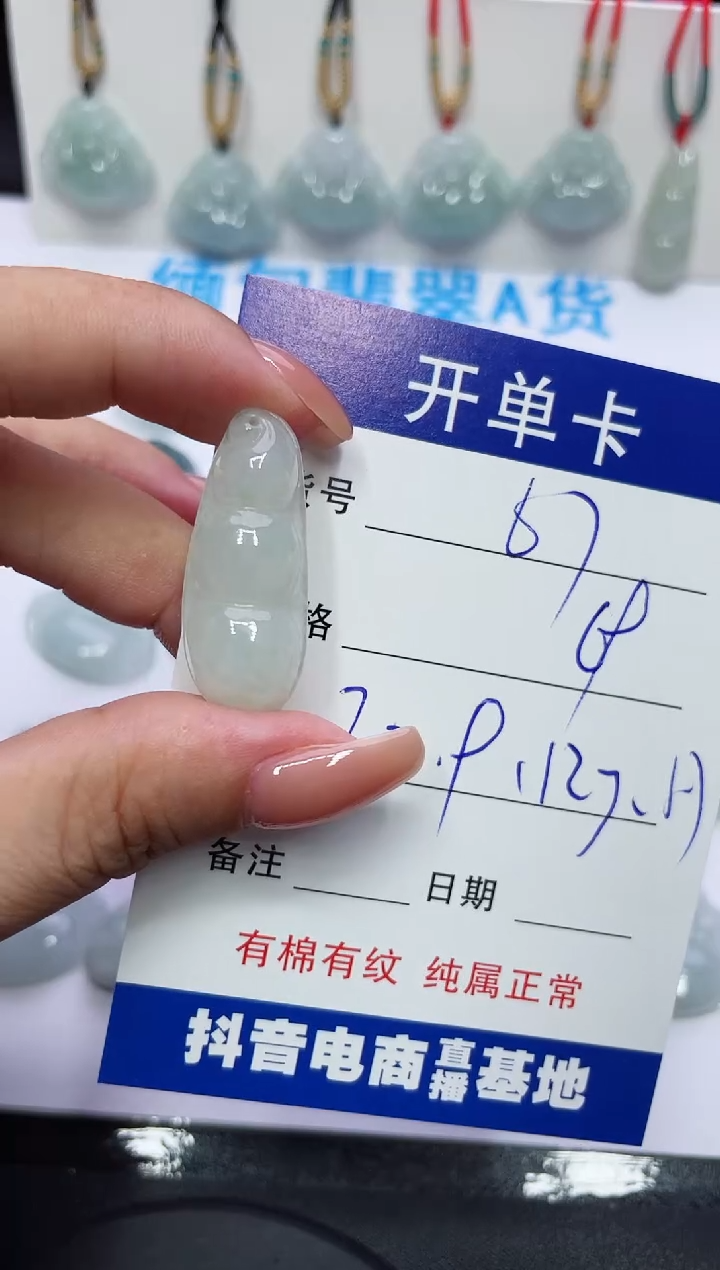 【闪购商品】翡翠颈饰未镶嵌A货 67