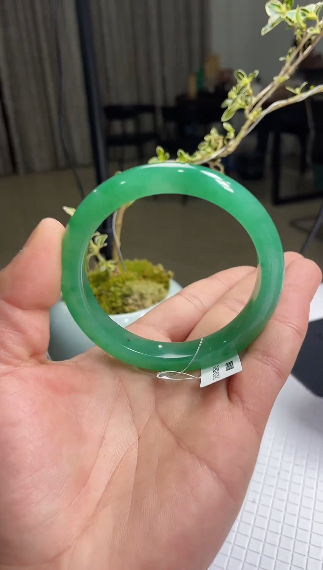 【闪购商品】石英质玉手镯未镶嵌非洲翠手镯多样性发货  