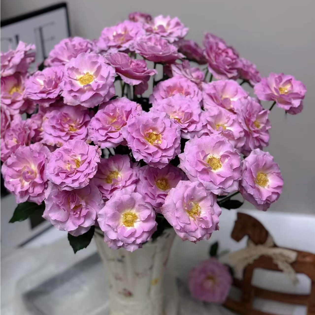 【陌上花开】云斗幻梦-稀有多头玫瑰（注意：带包装醒花哦~）