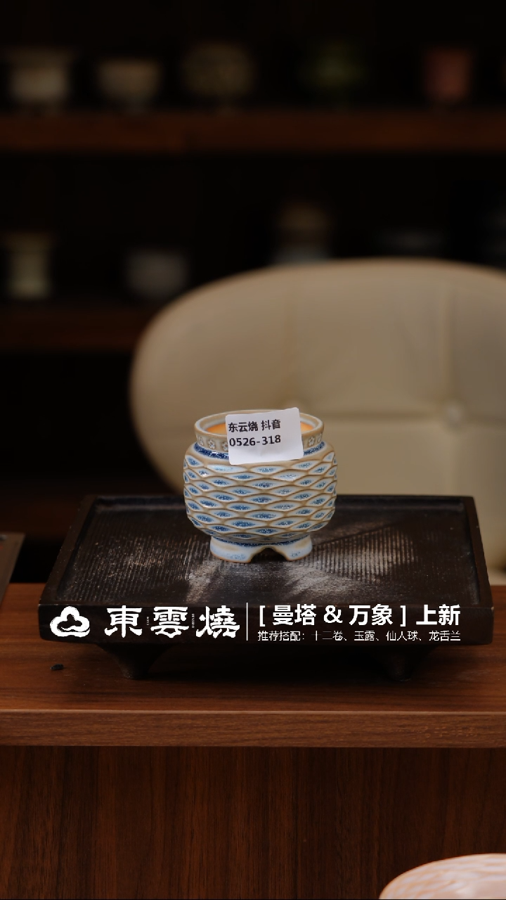 0526-318 A 宫灯口5.5