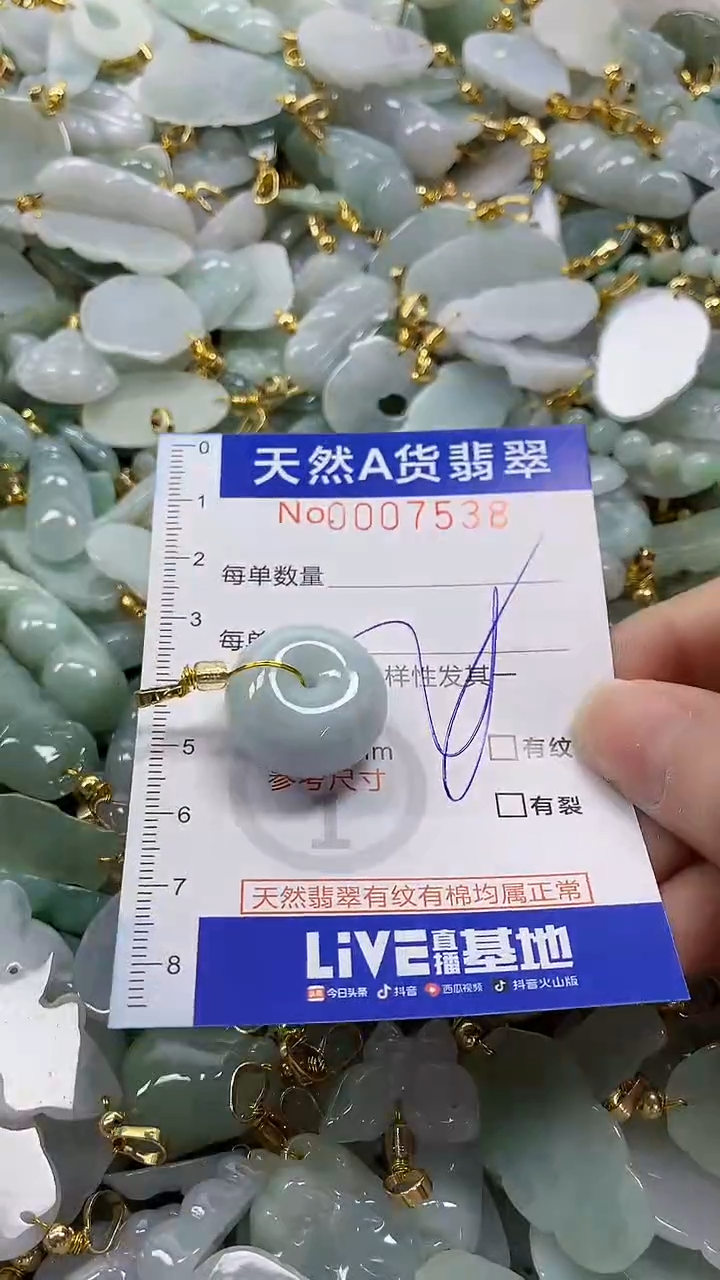 颈饰未镶嵌翡翠纯天然a货翡翠