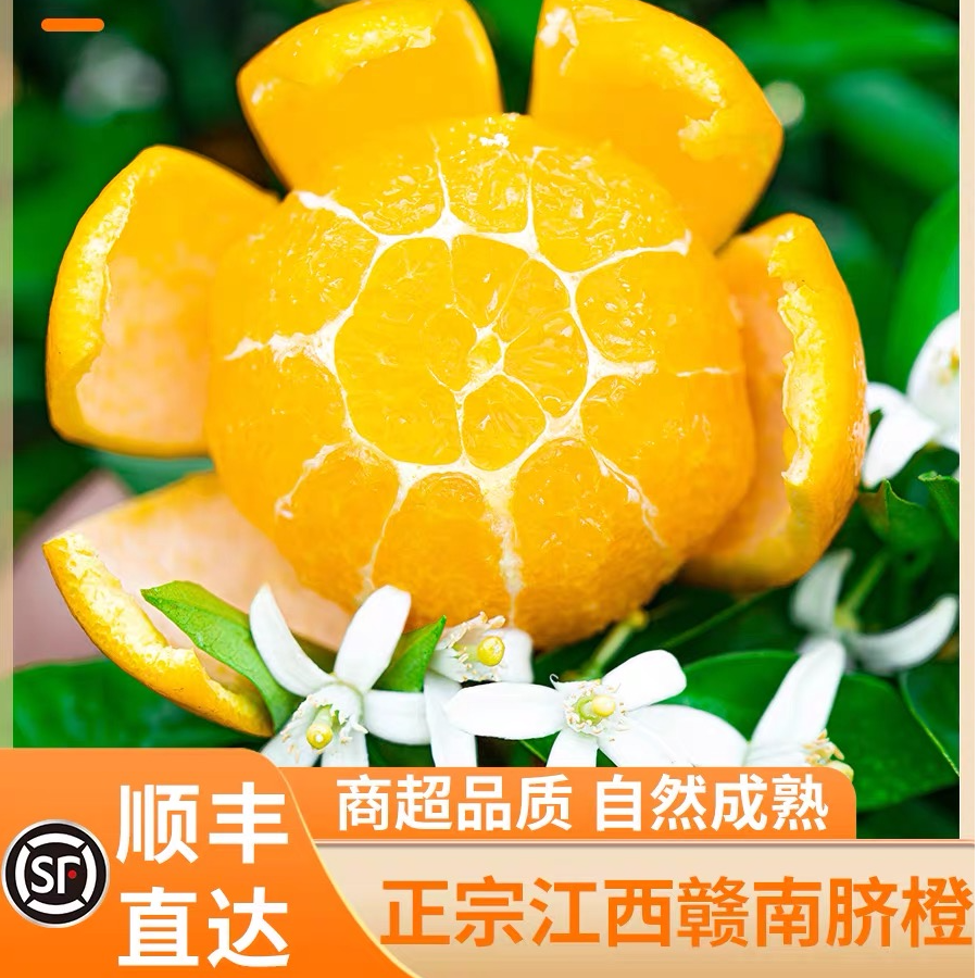 【赣南脐橙10斤装小精品】正宗赣南脐橙初秋水果纯甜无酸汁多脆爽