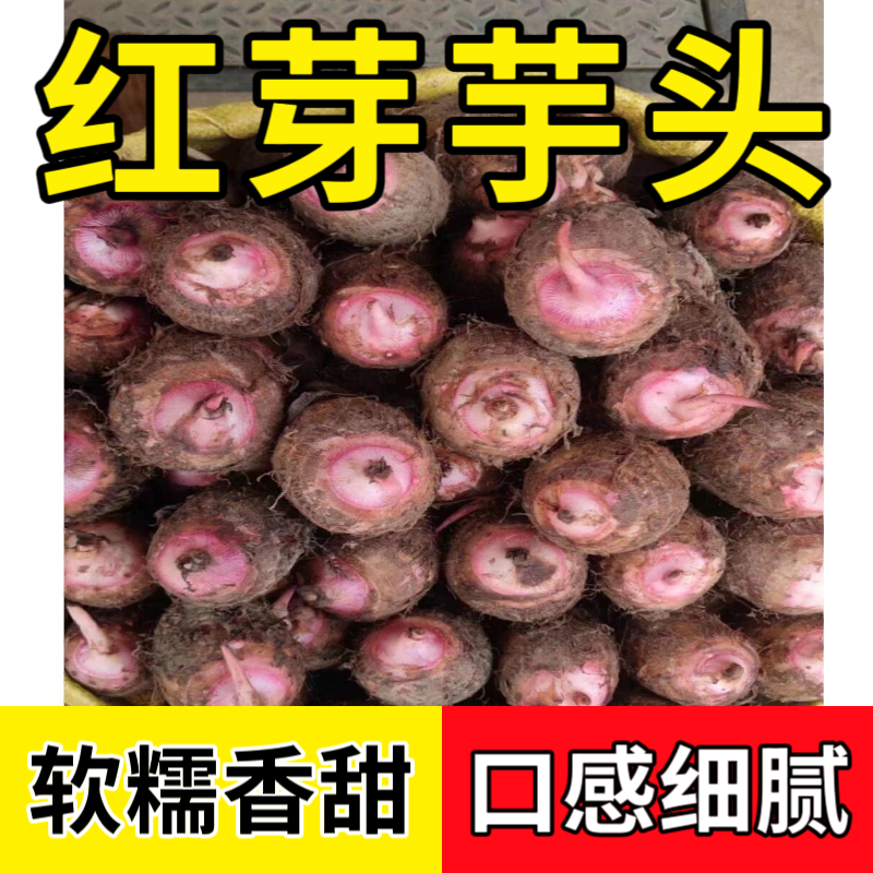 新鲜现挖红芽芋艿软糯香甜小芋头香芋