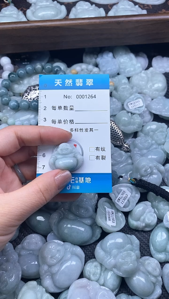 翡翠未镶嵌颈饰缅甸A货翡翠1264