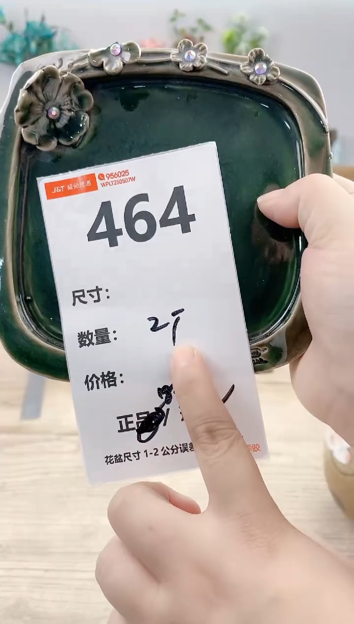 小玩子花盆直播号464
