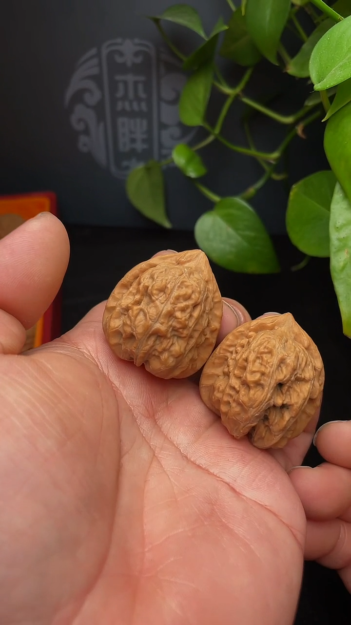 【闪购商品】文玩核桃把件赤龙鸡心35尺（全品，福利团）