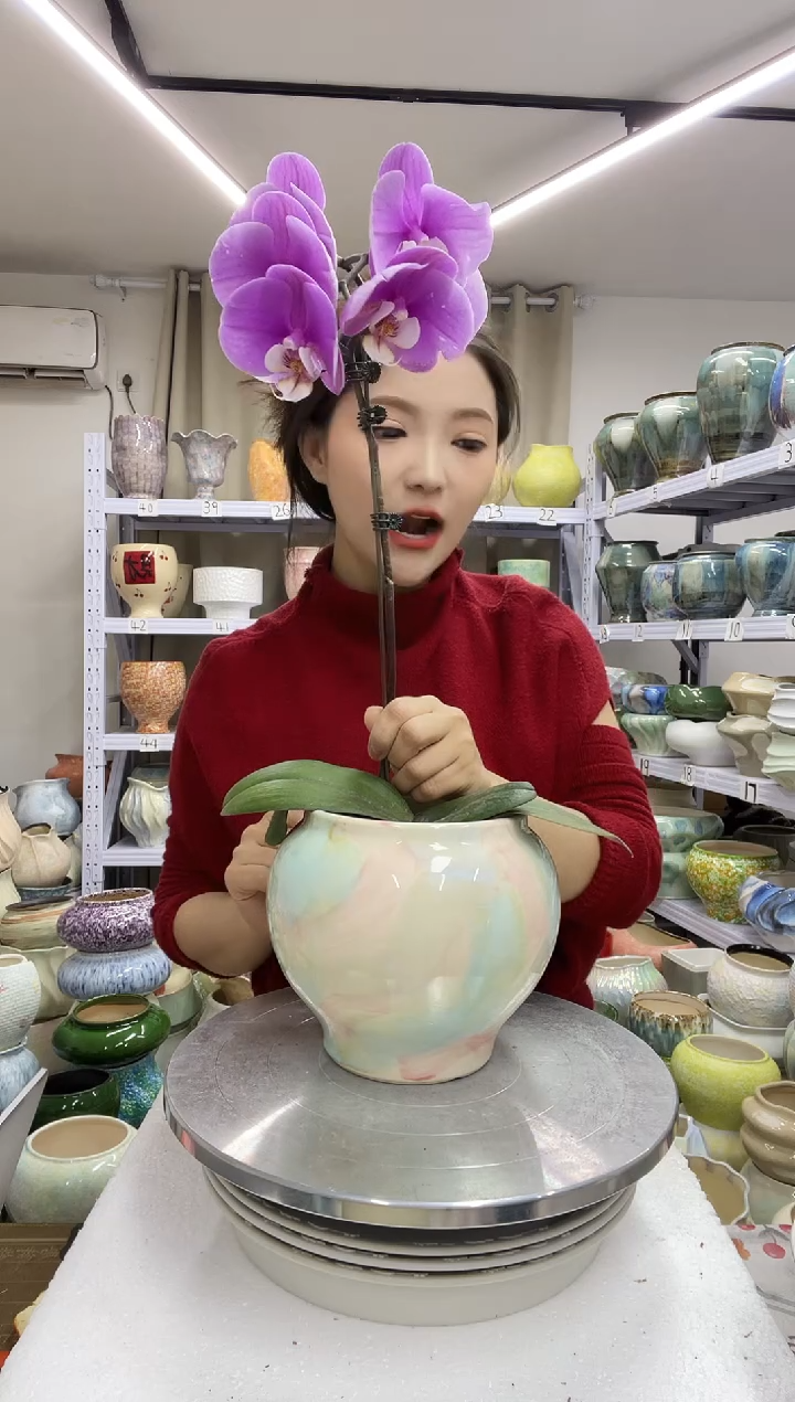 【1.3】花盆尺寸高：15 口：12