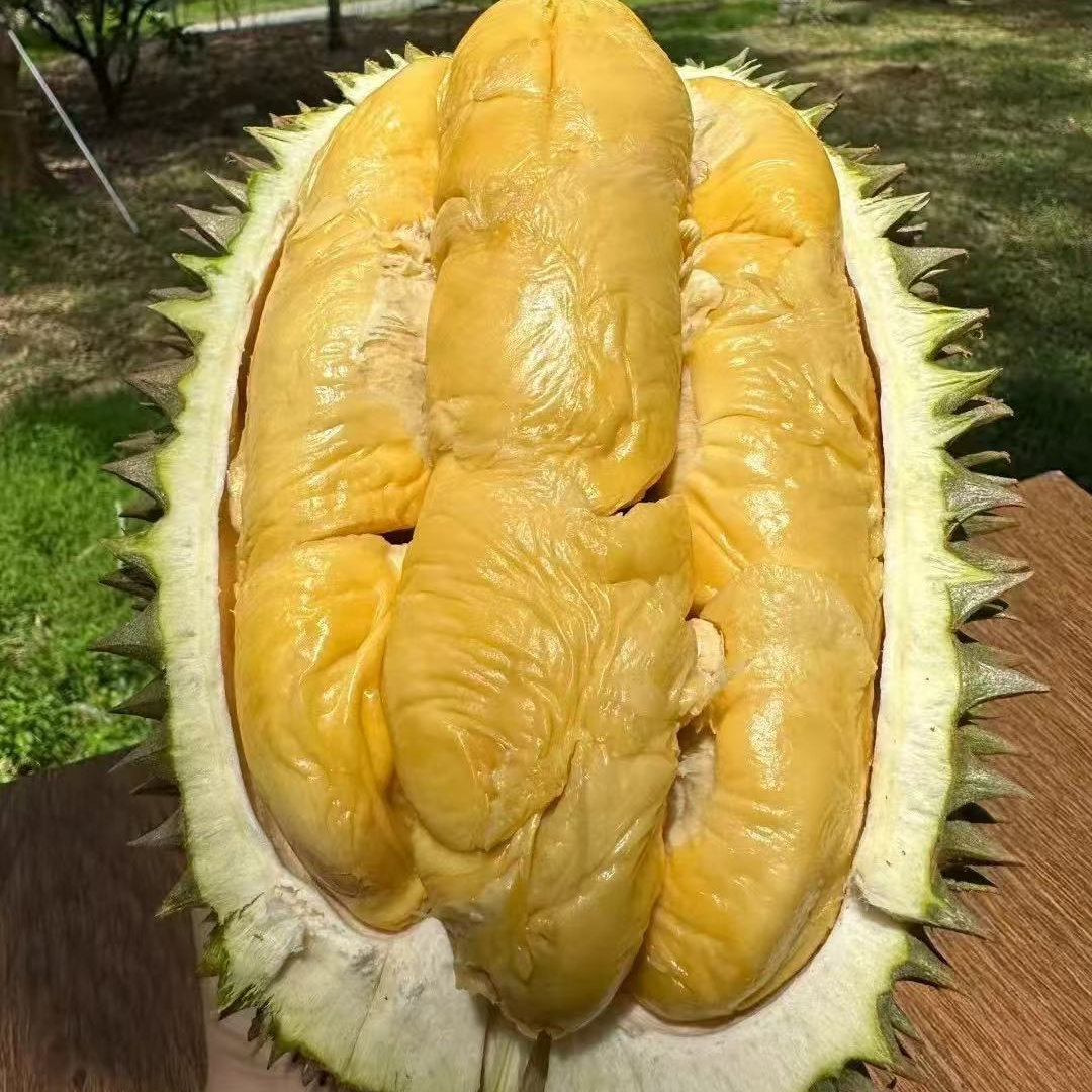 马来西亚鲜果D163葫芦榴莲空运树熟口感浓郁冷冻进口水果顺丰速运