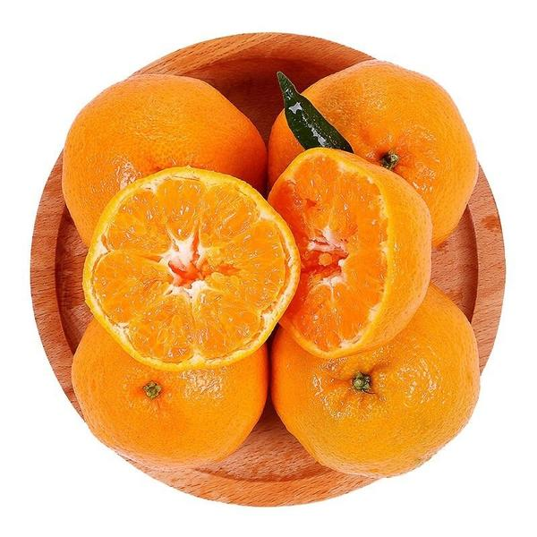 耙耙柑礼盒 /5斤左右  山东