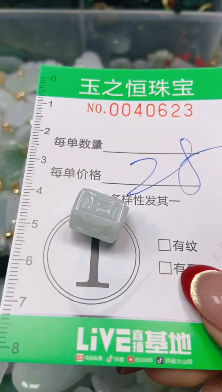 【闪购商品】翡翠颈饰未镶嵌闪购0040623