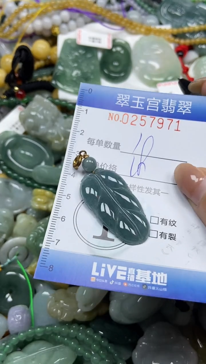 颈饰未镶嵌翡翠闪购C0257971