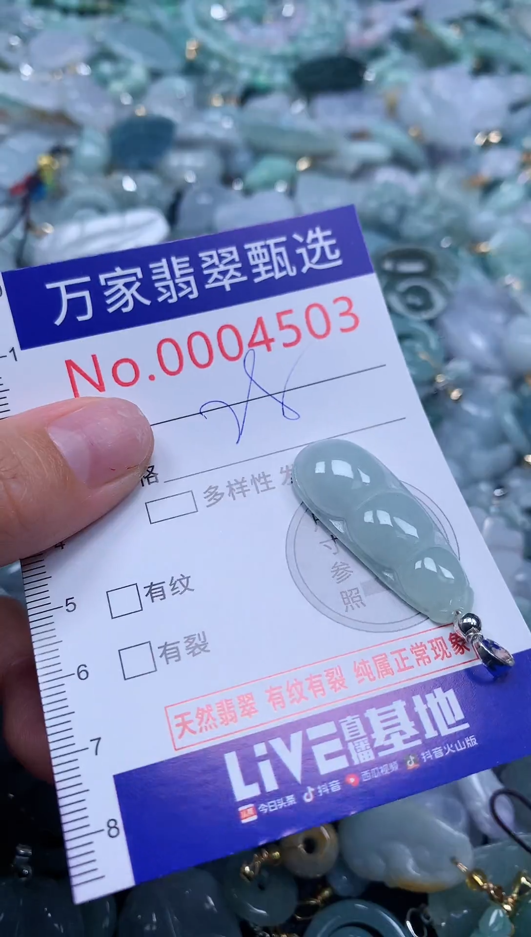 吊坠(不含链)未镶嵌翡翠4503