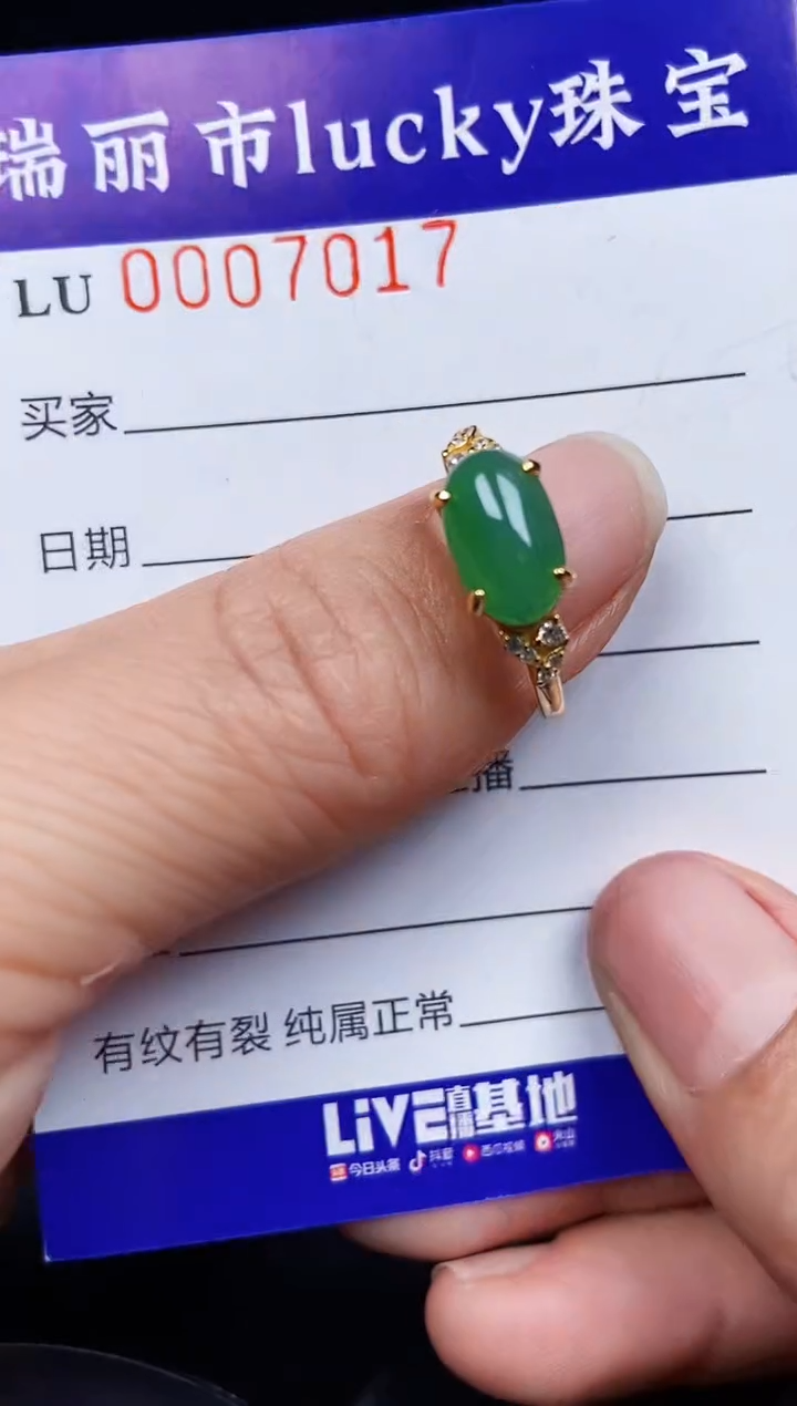 翡翠银S925镶嵌颈饰7017