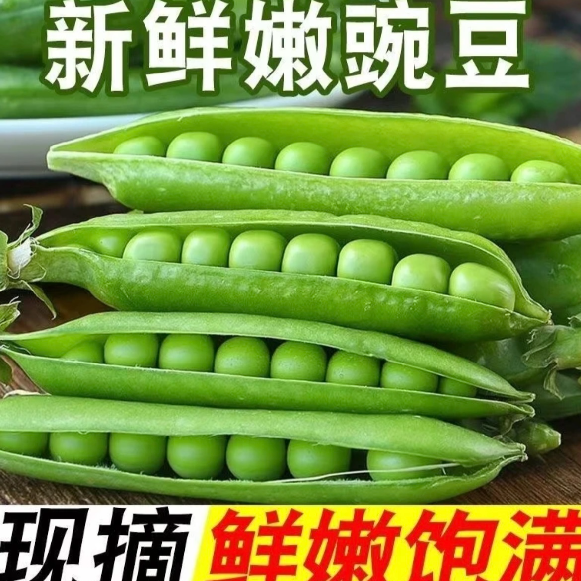 云南高山新鲜带壳老品种豌豆香甜粉糯现摘现发