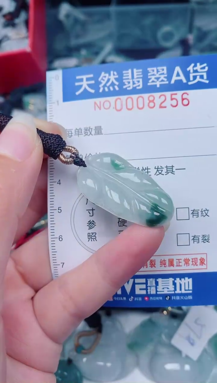 颈饰未镶嵌翡翠00008256