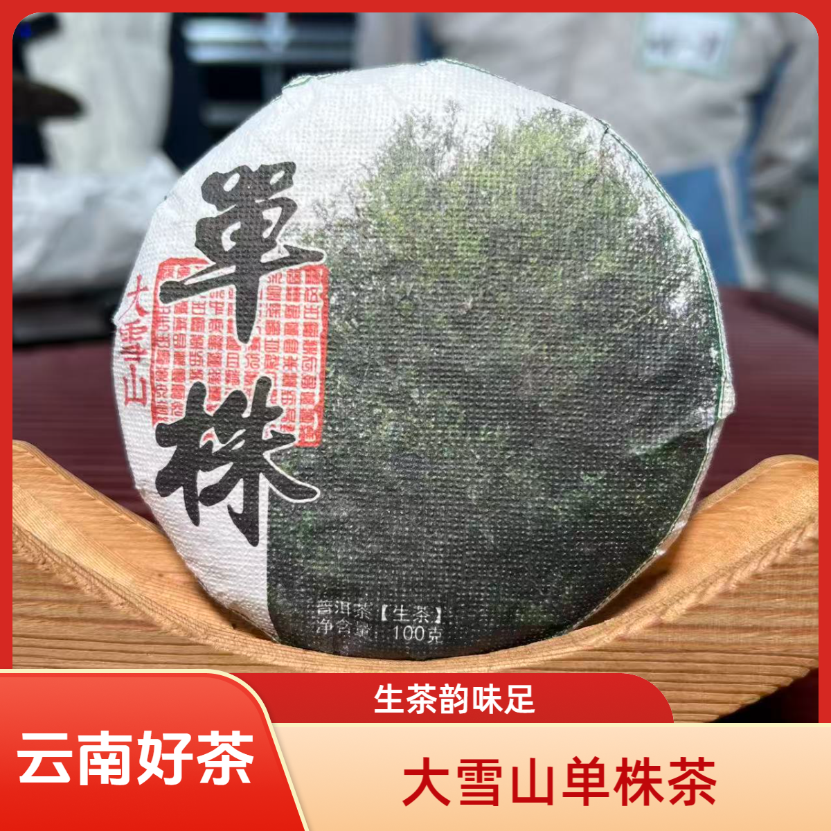 MN-89 2021年 大雪山春茶 单株 生茶100g饼 带试喝茶样 1230