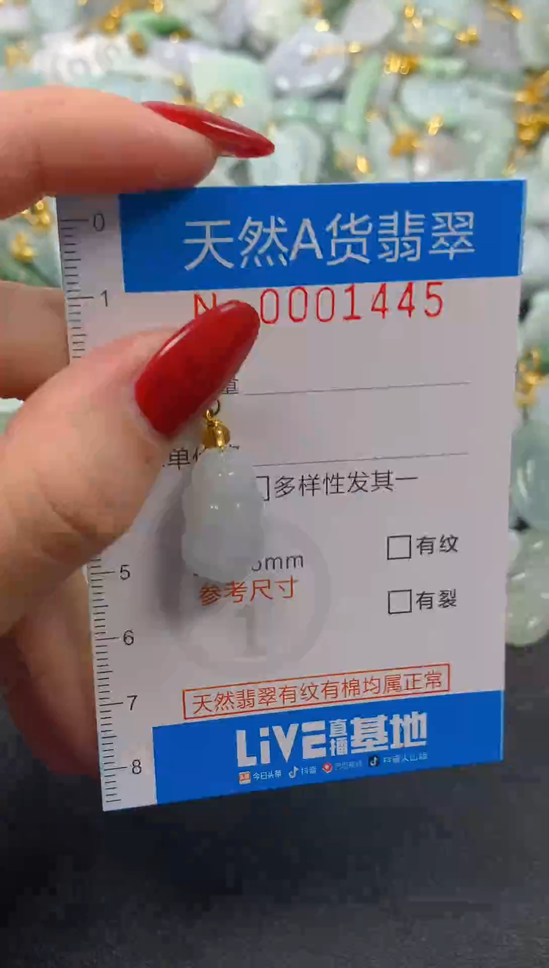 颈饰未镶嵌翡翠净货挂件-1445