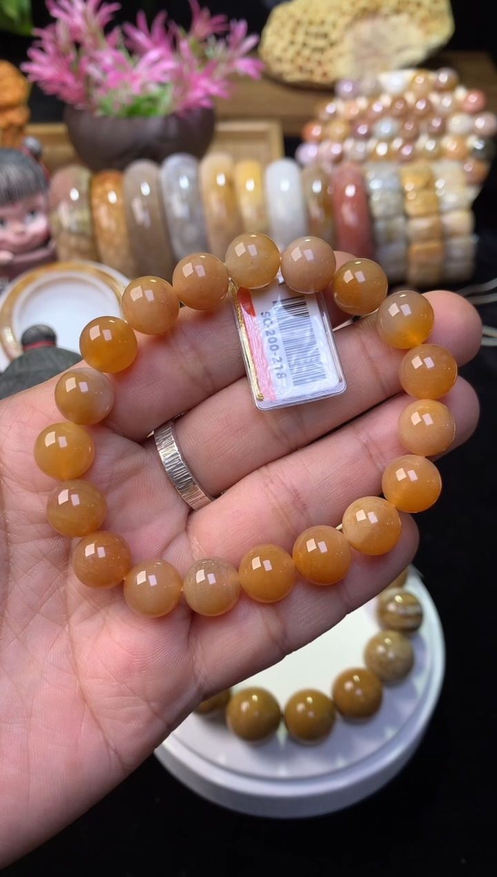 【闪购商品】硅化珊瑚（珊瑚玉）手镯未镶嵌200五折漏 11mm