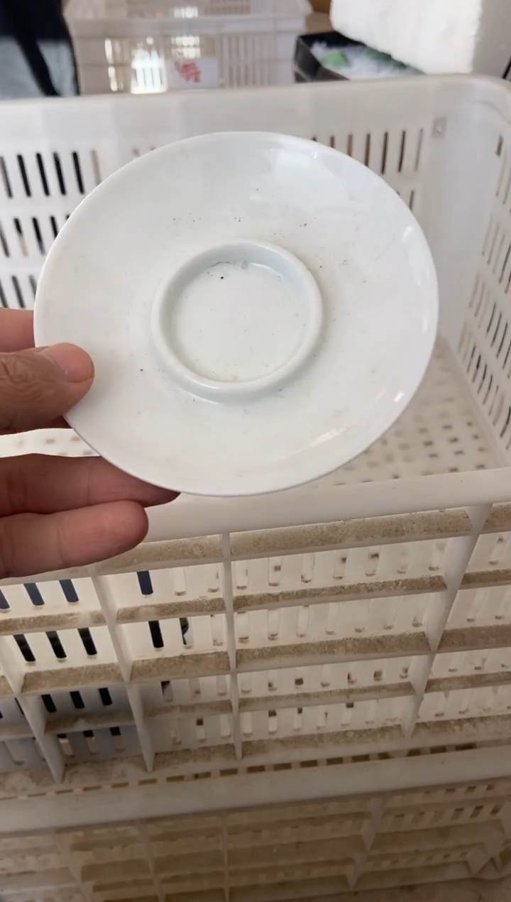 杯子瓷无运费险有瑕疵的摄影的产品有使用过的痕迹有点脏介意勿拍