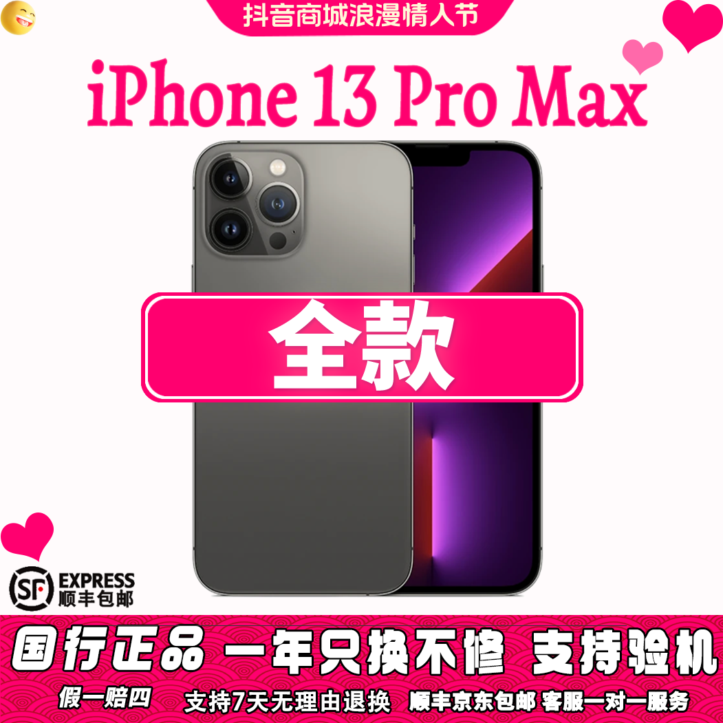 95新 Apple/苹果 13 ProMax 双卡国行正品苹果手机