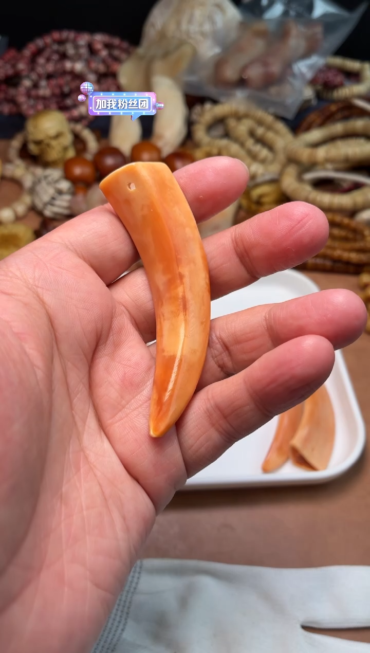 猪牙把件P1309-猪牙-血料把件
