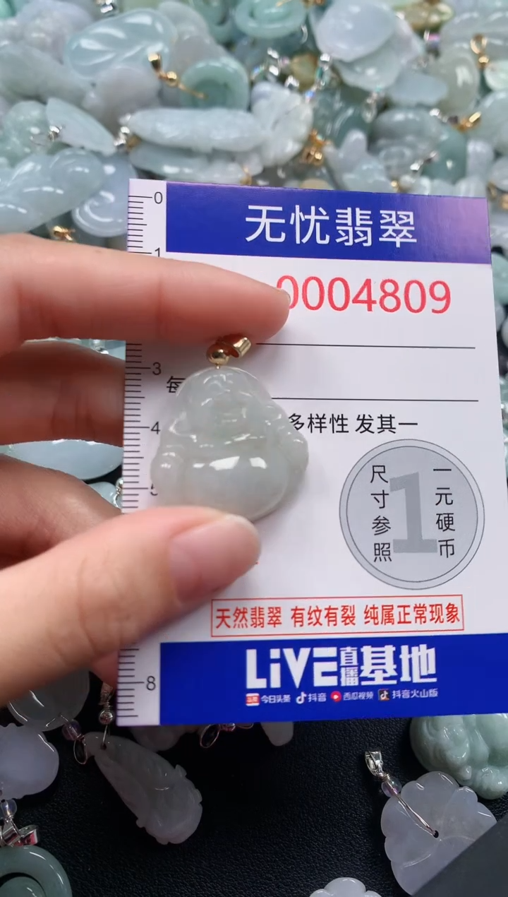 颈饰未镶嵌翡翠4809