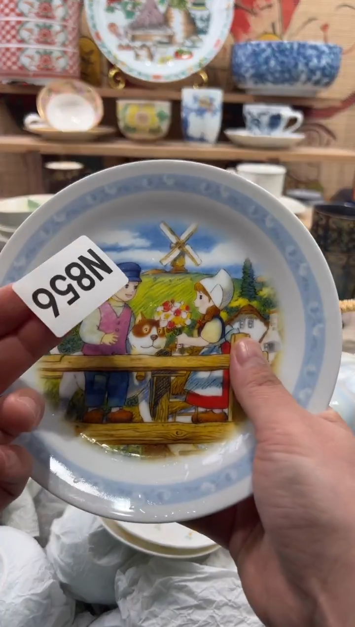 瓷片鱼瓷片------N856