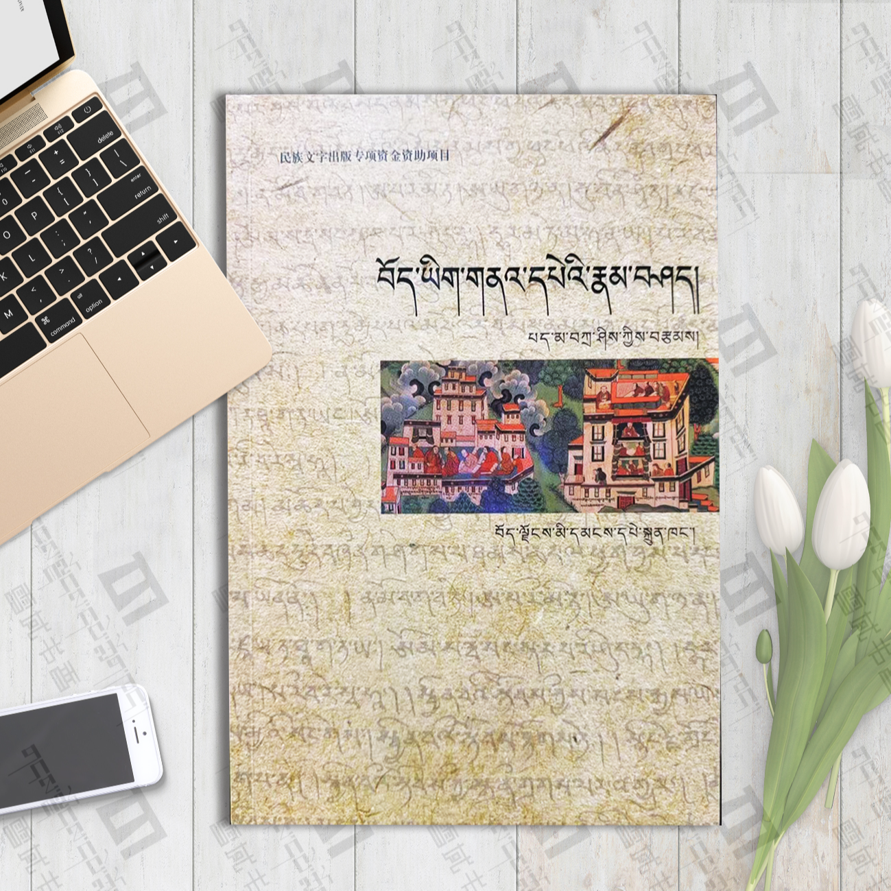 藏文古籍概论：藏文藏文书藏文书籍藏文知识