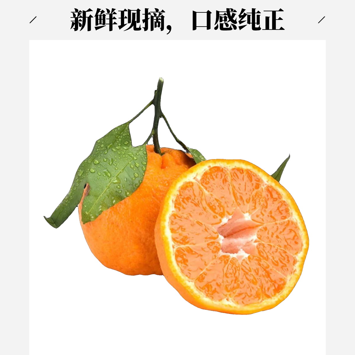 四川春见耙耙柑 约1000g±100g四川省