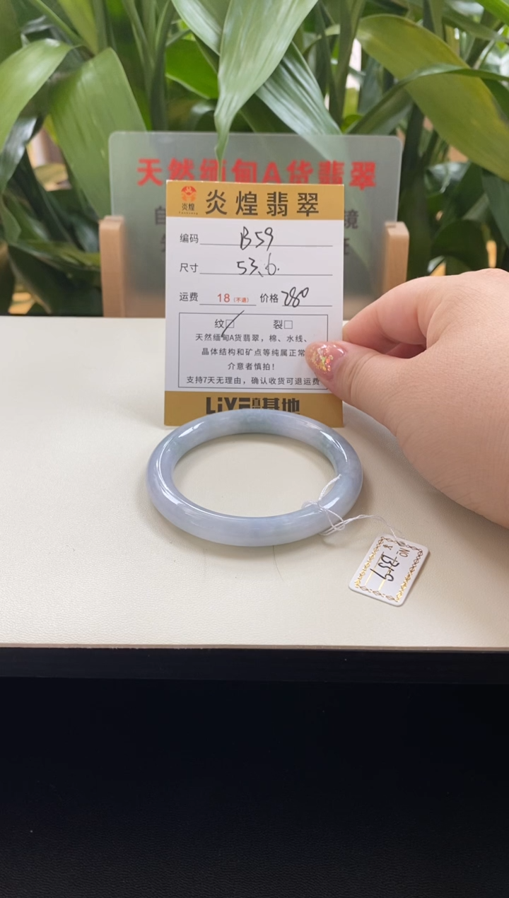 未镶嵌手镯翡翠下****的53.5圈口编码b59