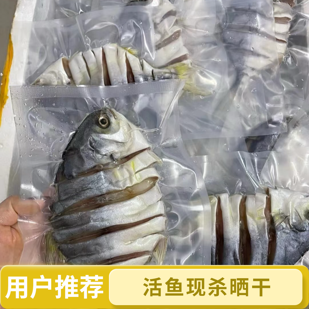 博贺港特产渔民自晒淡干金鲳鱼干新鲜大条真空包装顺丰冷链到家